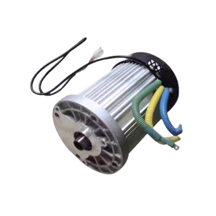 48v 60V Electric 1000W Brushless DC Motor