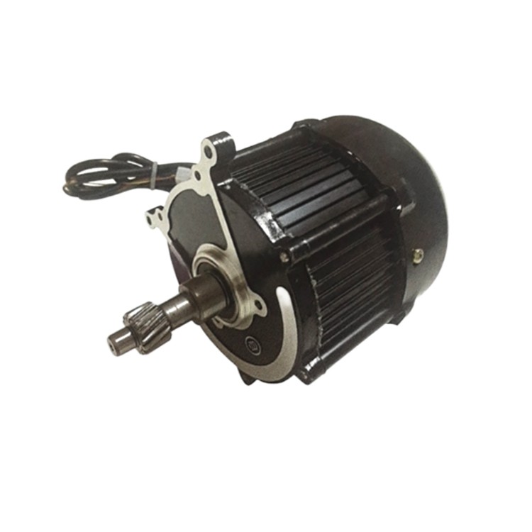 48v 60V Electric 500W Brushless DC Motor